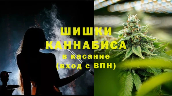 Альфа ПВП Алзамай