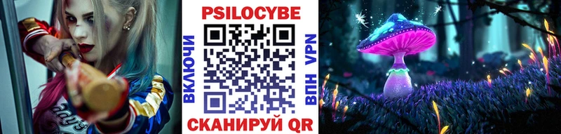 Купить где  Самара  Псилоцибиновые грибы Psilocybine cubensis 